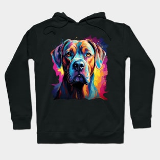 Boxer Rainbow Hoodie